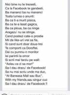 Poezia facebook-ului - poza demo