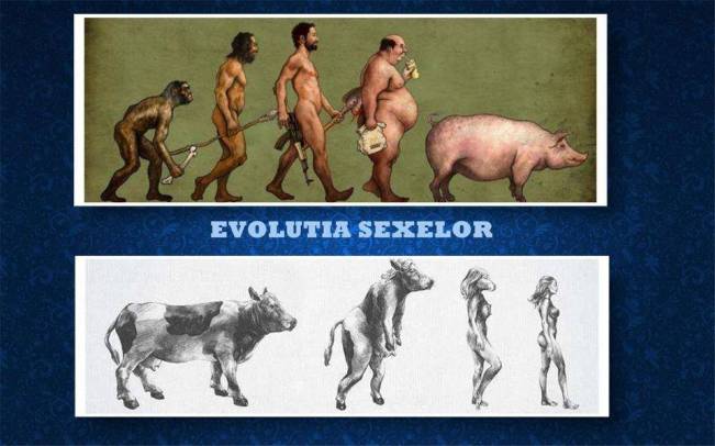 Evoluţia sexelor(e logic care e sexul autorului) | poze haioase