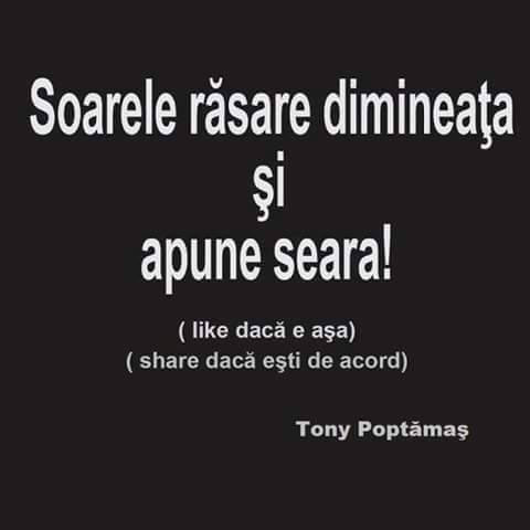 Postările lui Tony Poptămaş poze haioase
