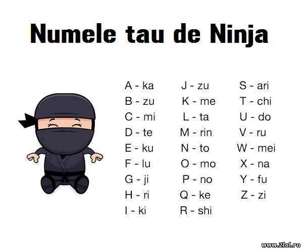 Numele tau de ninja poze haioase