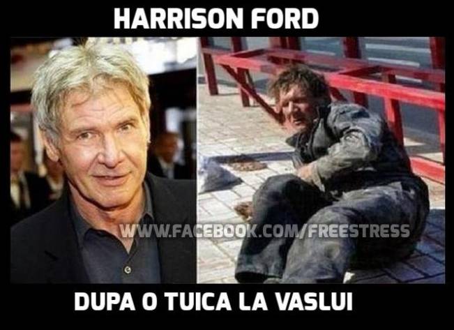 Harrison Ford la Vaslui County | poze haioase