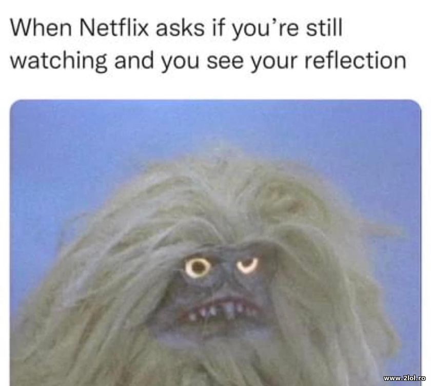 When Netflix asks if you're still watching | poze haioase