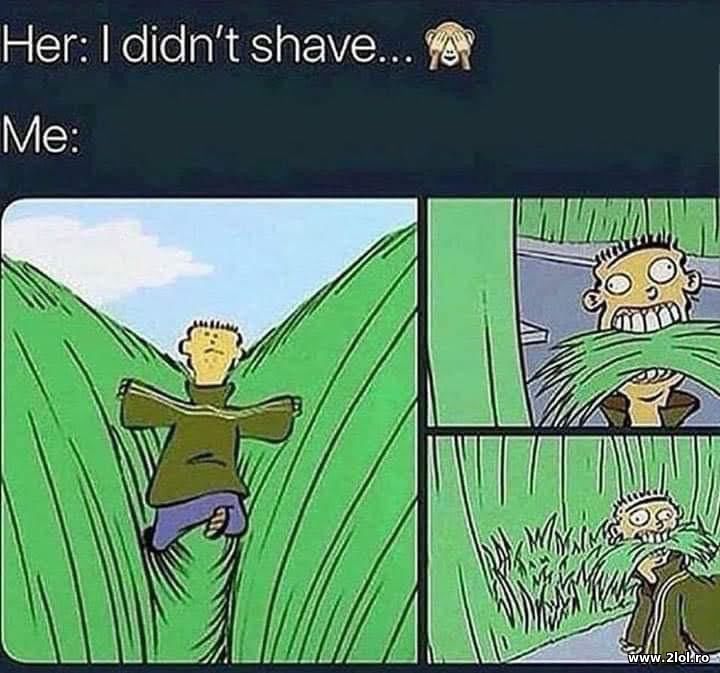 Her: I didn't shave | poze haioase