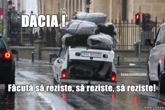 Dacia, făcută să reziste! | poze haioase