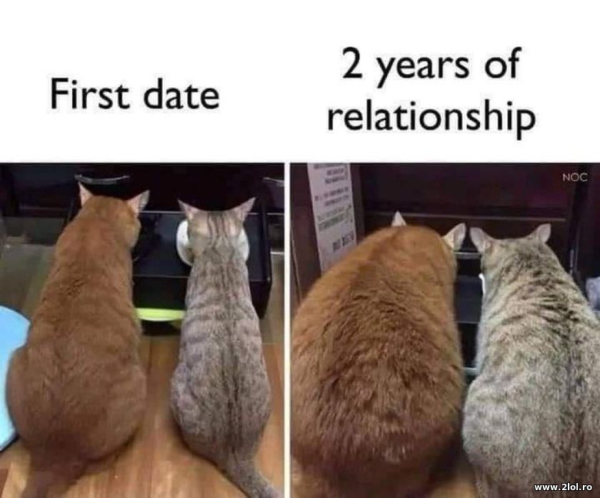 First date vs 2 years of relationship | poze haioase