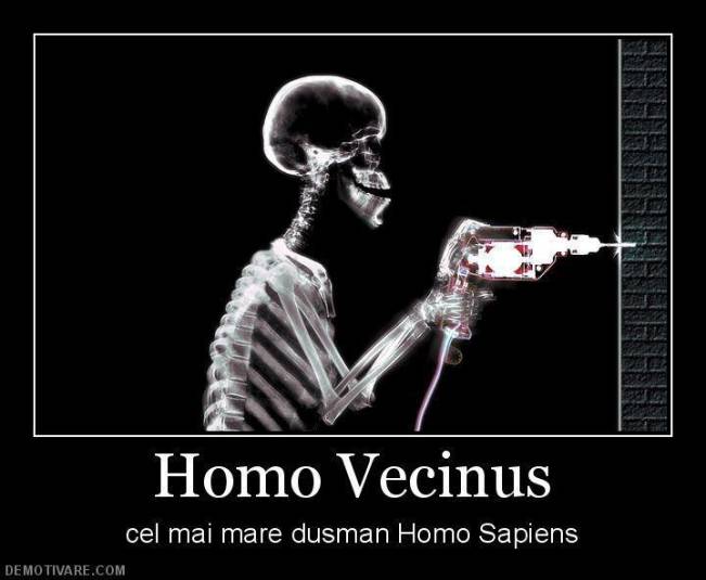 Homo vecinus | poze haioase