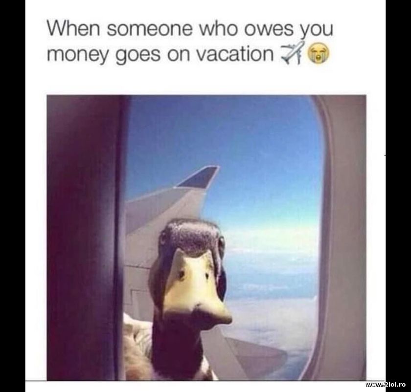 When someone who owes you money goes on vacation | poze haioase