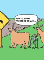Poate acum 30 de ani - poza demo