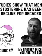 Testosterone has been in decline for decades - poza demo