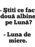 Stiti ce fac doua albine pe luna? - poza demo