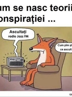 Cum stiu astia ce ascult? - poza demo