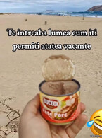 Te intreaba lumea cum ivi permiti vacante - poza demo