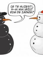 Tu ai văzut până acum un rom de zăpadă? - poza demo