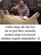 Atata timp cat din leu nu se pot face sarmale - poza demo