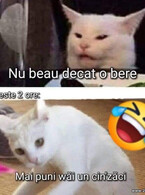 Nu beau decat o bere - poza demo