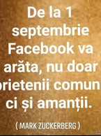 De la 1 septembrie Facebook va arata si amantii - poza demo