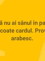 Pana nu ai sanul in palma - poza demo