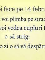 Ce vei face de Ziua Îndrăgostiților? - poza demo
