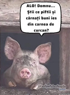 Domnu, stiti ce piftii si carnati buni iesi din - poza demo