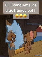 Uitandu-ma de drac frumos pot fi - poza demo