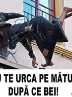 Nu te urca pe matura - poza demo