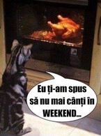 A cantat in weekend - poza demo