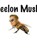 Beelon Musk - poza demo