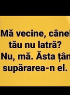 Mai vecine, cainele tau nu latra? - poza demo