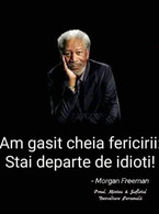 Am gasit cheia fericirii - poza demo