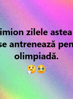 Fuge Simion - poza demo
