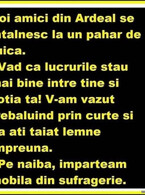 Doi amici din Ardeal - poza demo
