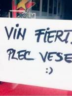 Vin fiert, plec vesel - poza demo