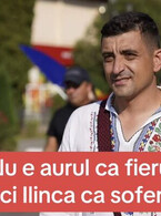 Nu e aurul ca fierul - poza demo