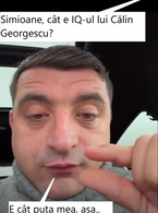 Simioane, cat e IQ-ul lui Calin Georgescu? - poza demo