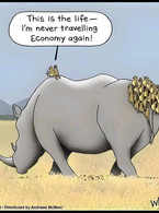 I'm never traveling economy again - poza demo