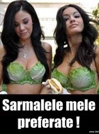 Sarmalele mele preferate - poza demo