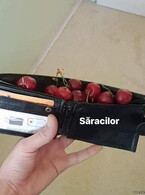 Saracilor - poza demo
