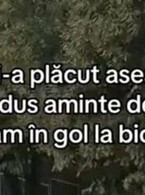 Ti-a plactu aseara? - poza demo