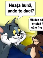 Neata buna, unde te duci? - poza demo