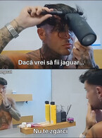 Daca vrei sa fii jaguar - poza demo