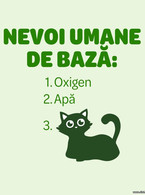 Nevoi umane de baza - poza demo