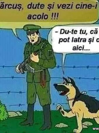 Du-te sa vezi cine-i acolo - poza demo