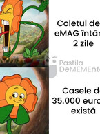 Coletul si casele - poza demo