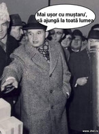 Mai usor cu mustarul - poza demo