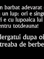 Un bărbat adevărat e ca un lup - poza demo