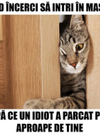 Cand incerci sa intri in masina - poza demo