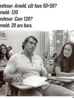 Cat face 50 + 50, Arnold? - poza demo