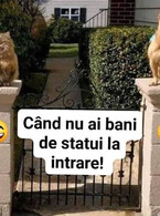 Cand n-ai bani de statui - poza demo