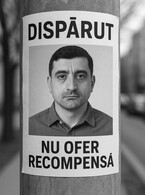 Disparut - poza demo