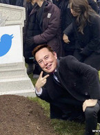 Elon Musks rate limit on Twitter - poza demo